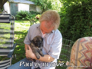 Paul is ook in love